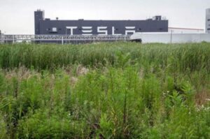Tesla sa thải công nhân tại Giga Thượng Hải